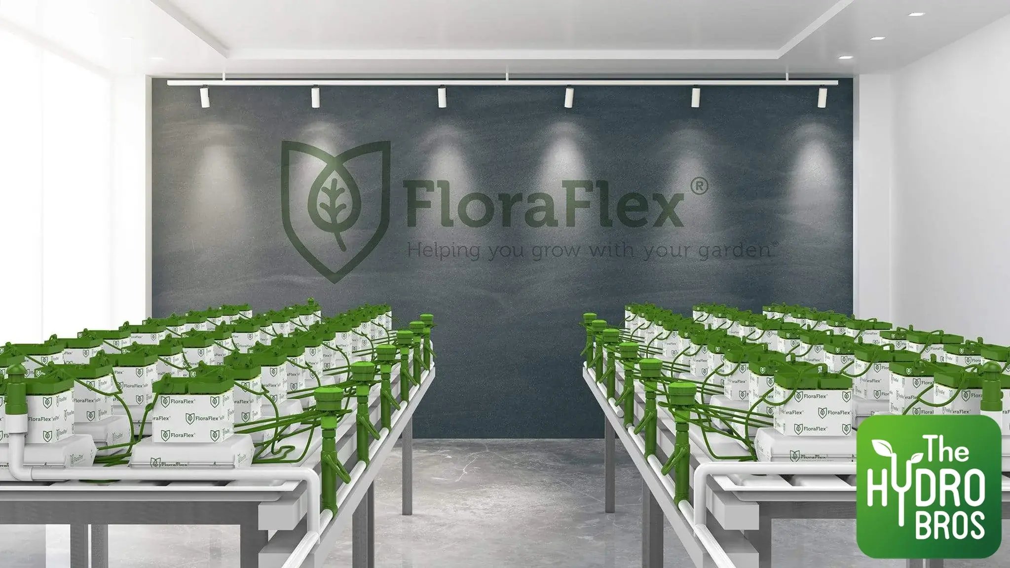 Flora Flewx products
